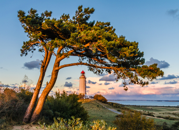 Busreis Lauterbach, 6 dagen Rügen