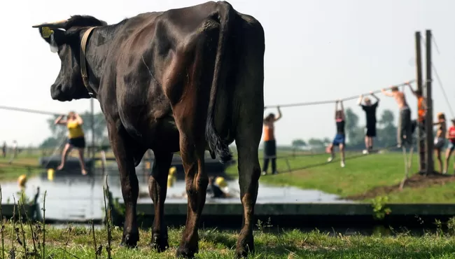 Poldersport de Kwakel