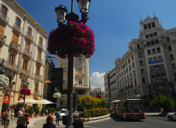 Bus-ontdekkingsreis Spanje, 16 dagen