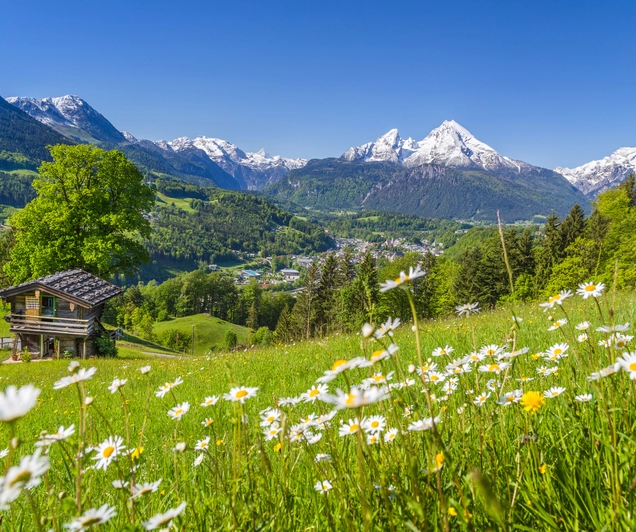 Busreis Kirchberg, 9 dagen Kitzbüheler Alpen