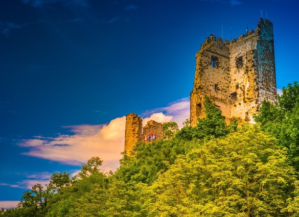 7 daagse Riviercruise door het Rijndal naar Mainz