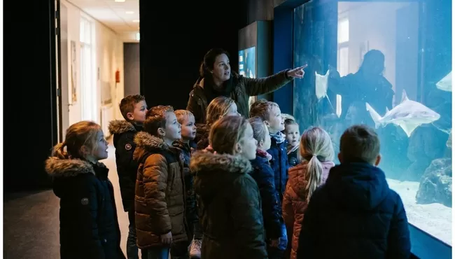 Zee Aquarium Bergen schoolreis