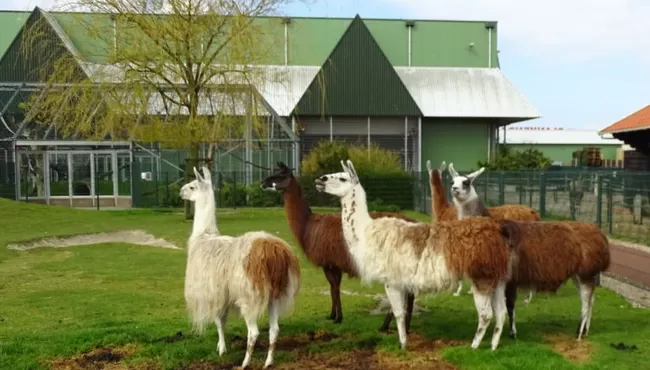 Dierenpark Blankendaell