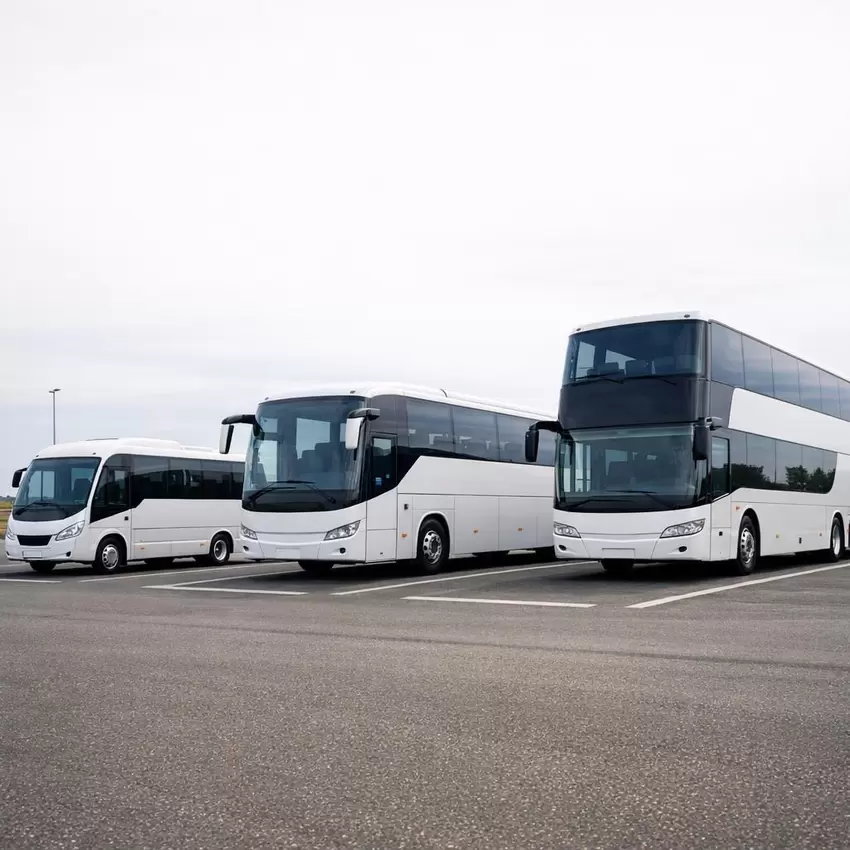 Buscapaciteit per groepsgrootte