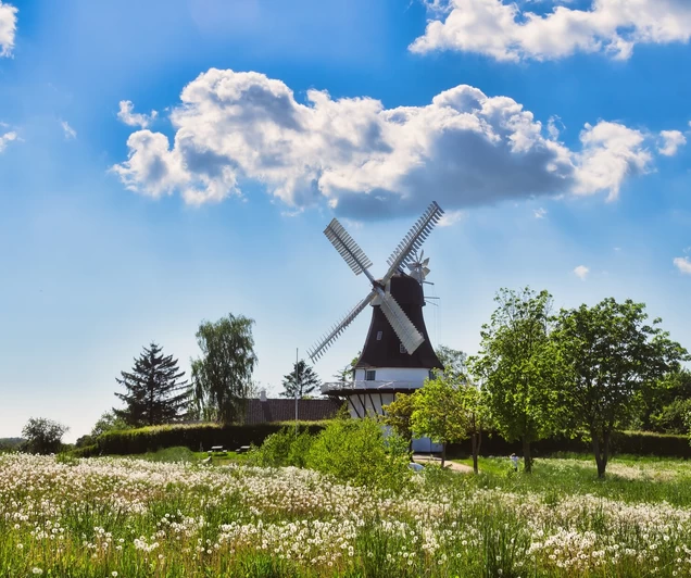 Busreis Seeland en Funen, 8 dagen Denemarken