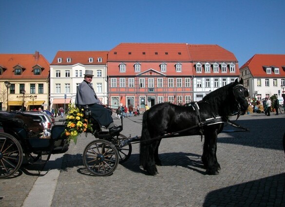 Plau am See, 6 dagen Mecklenburg