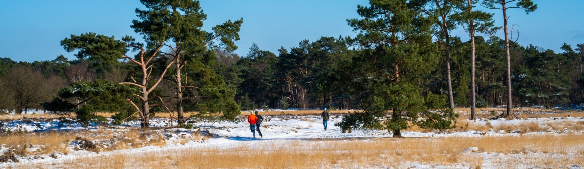 5 daagse Kerstreis Veluwe, Nunspeet