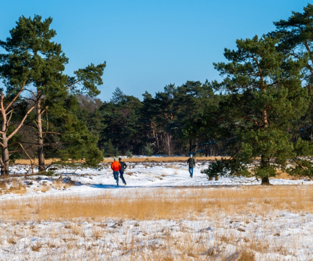 5 daagse Kerstreis Veluwe, Nunspeet