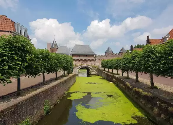 Busreis Nunspeet, 5 dagen Veluwe